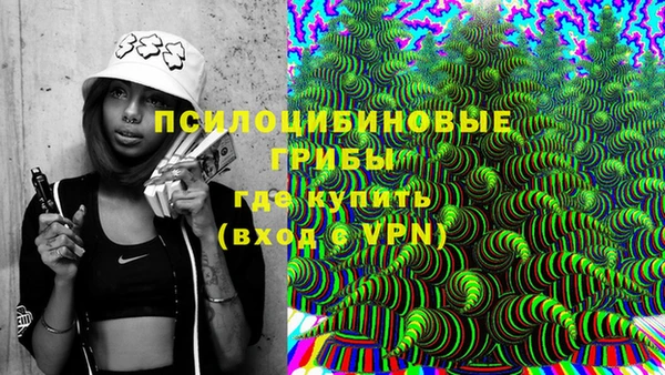 ECSTASY Заводоуковск